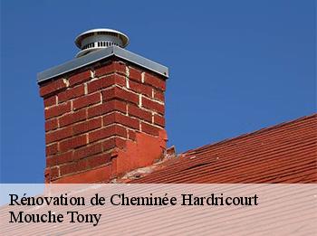 Rénovation de Cheminée  78250