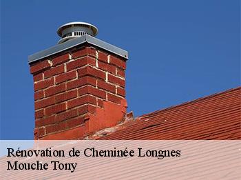 Rénovation de Cheminée  78980
