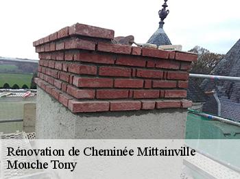 Rénovation de Cheminée  mittainville-78125 Mouche Tony