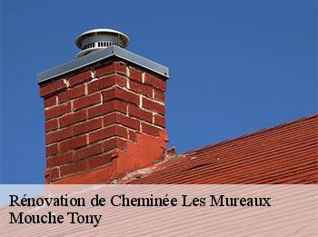 Rénovation de Cheminée  78130